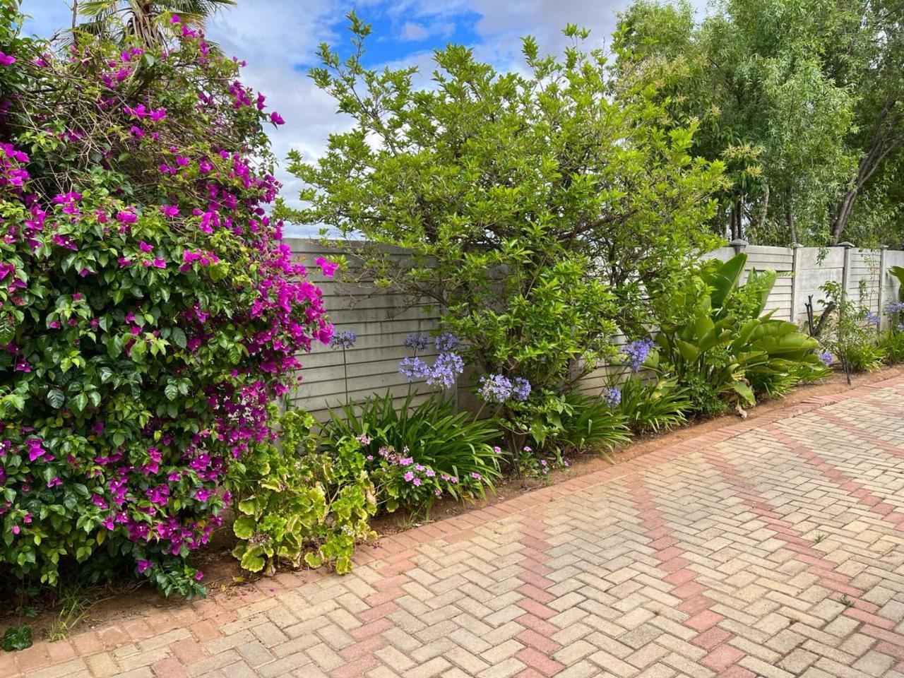 Oppi Draai Guesthouse Oudtshoorn Luaran gambar